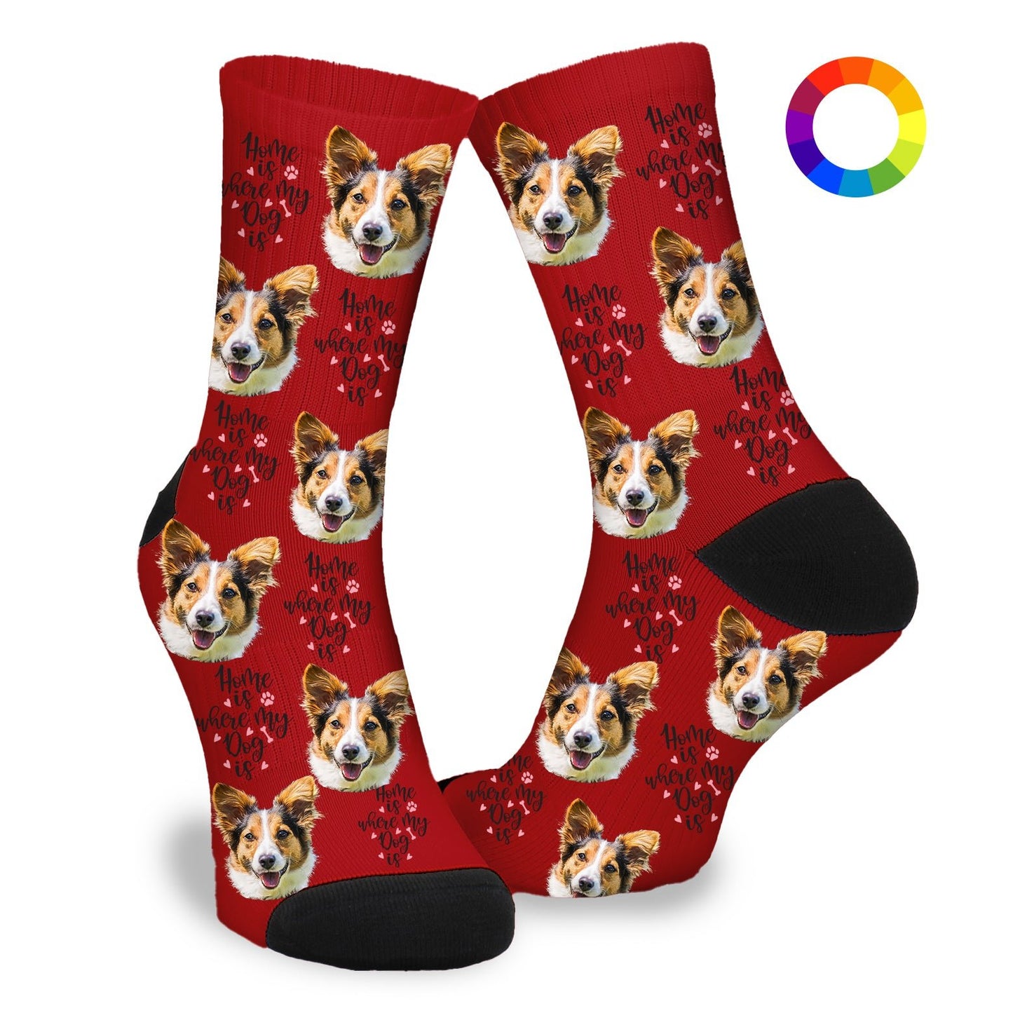 Gepersonaliseerde Sokken met eigen foto | Hond | My Dog - Funnysokken.nl